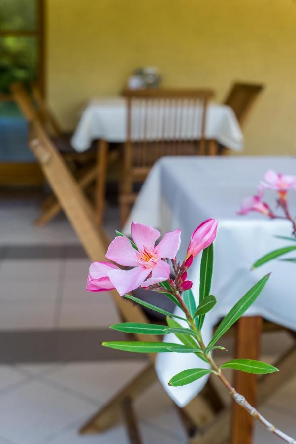 Regia Panzio Bed & Breakfast Halászi Екстериор снимка
